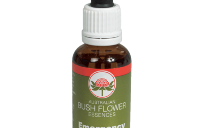 Waratah il fiore del coraggio – Bush Flower Essences